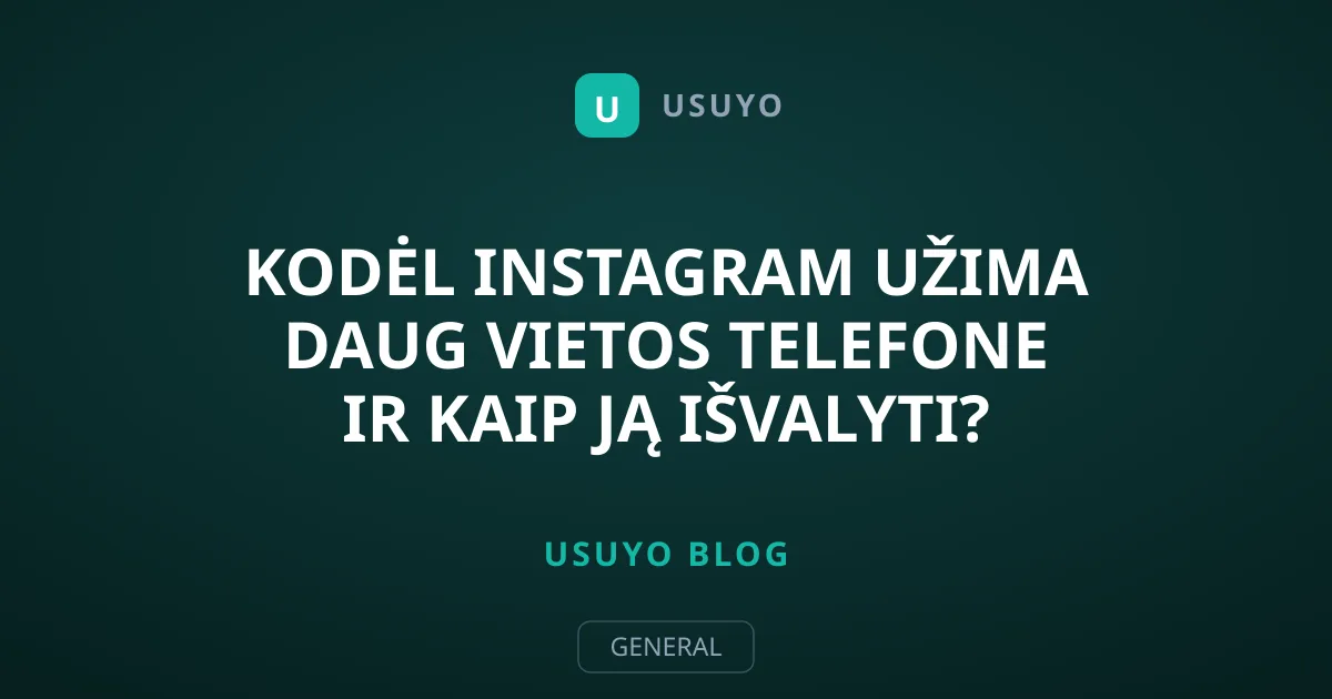 Kodėl Instagram užima daug vietos telefone ir kaip ją išvalyti?